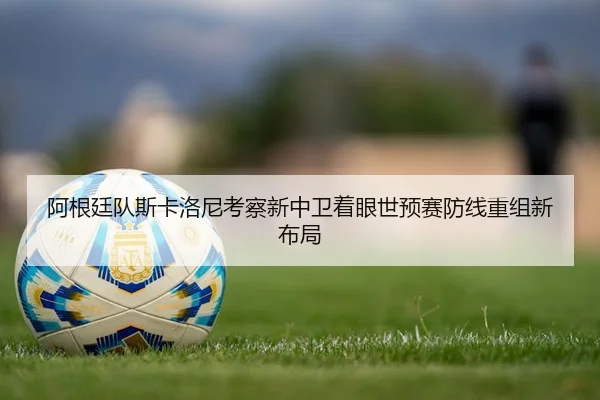 阿根廷队斯卡洛尼考察新中卫着眼世预赛防线重组新布局